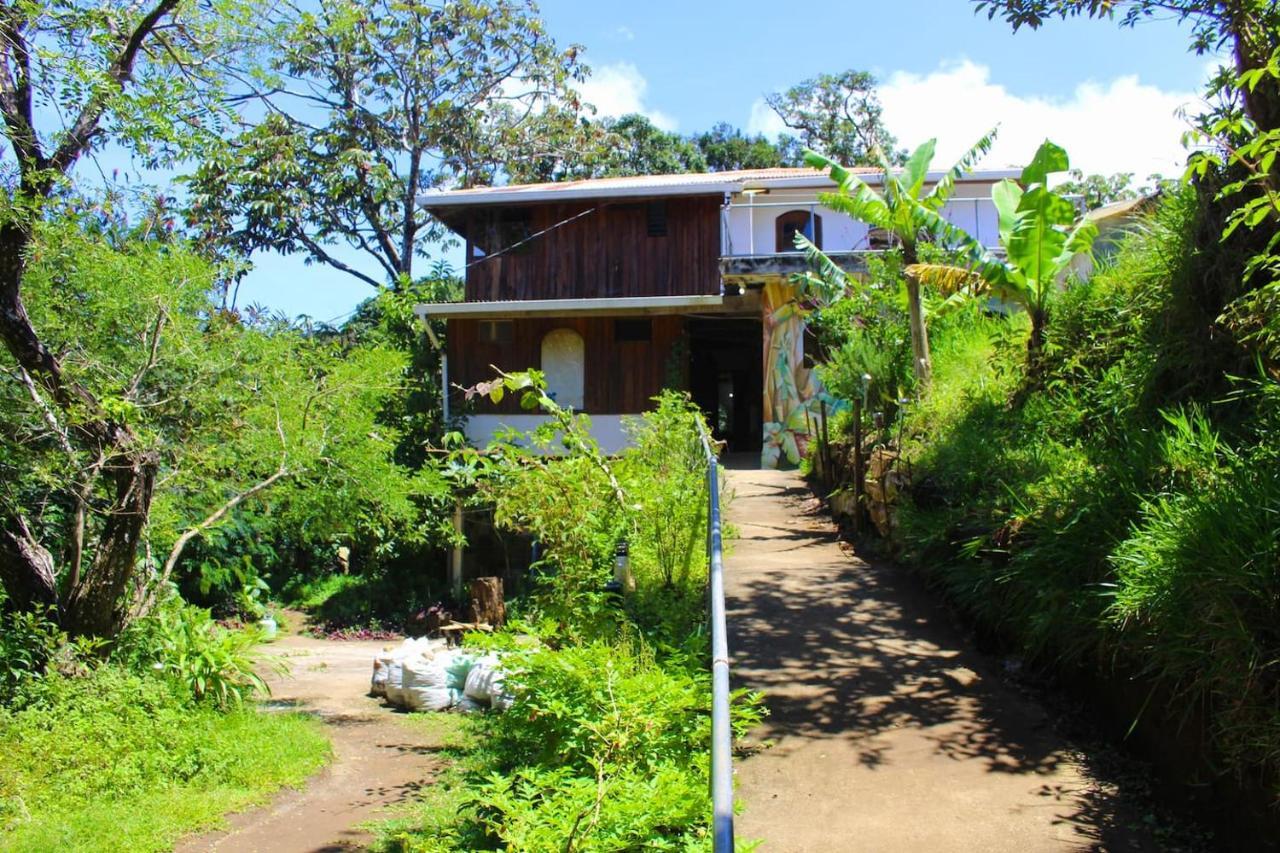 Casa Alquimia Ξενοδοχείο Monteverde Εξωτερικό φωτογραφία