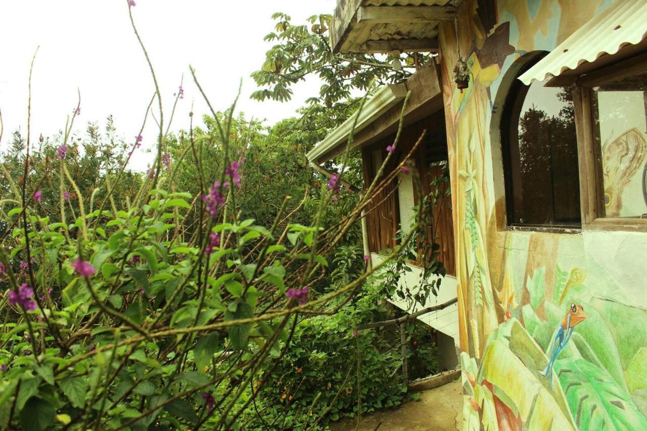 Casa Alquimia Ξενοδοχείο Monteverde Εξωτερικό φωτογραφία